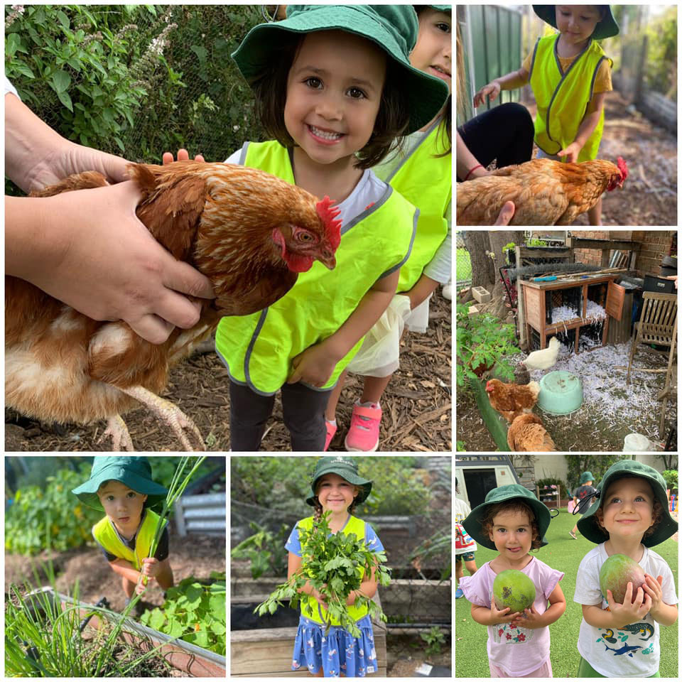 Seedling-Kids-Croydon-Park-food Seedling-Kids-Croydon-Park-food